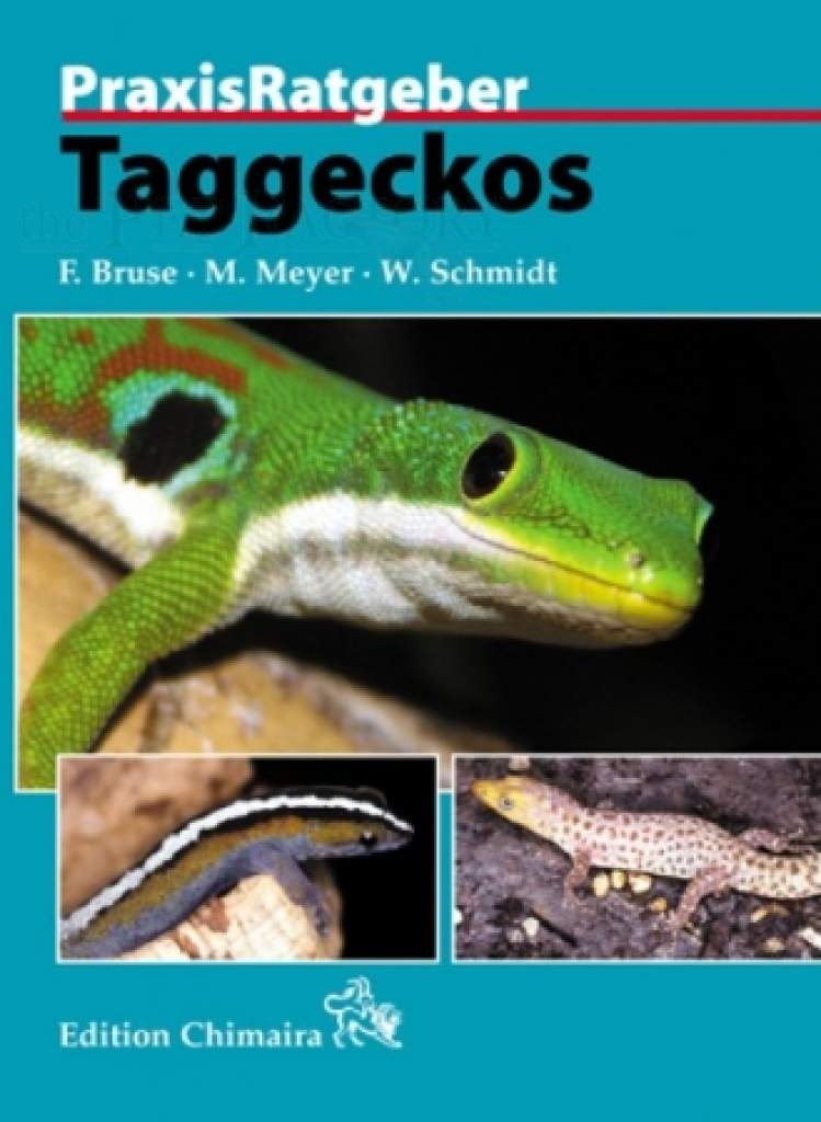 PraxisRatgeber Taggeckos